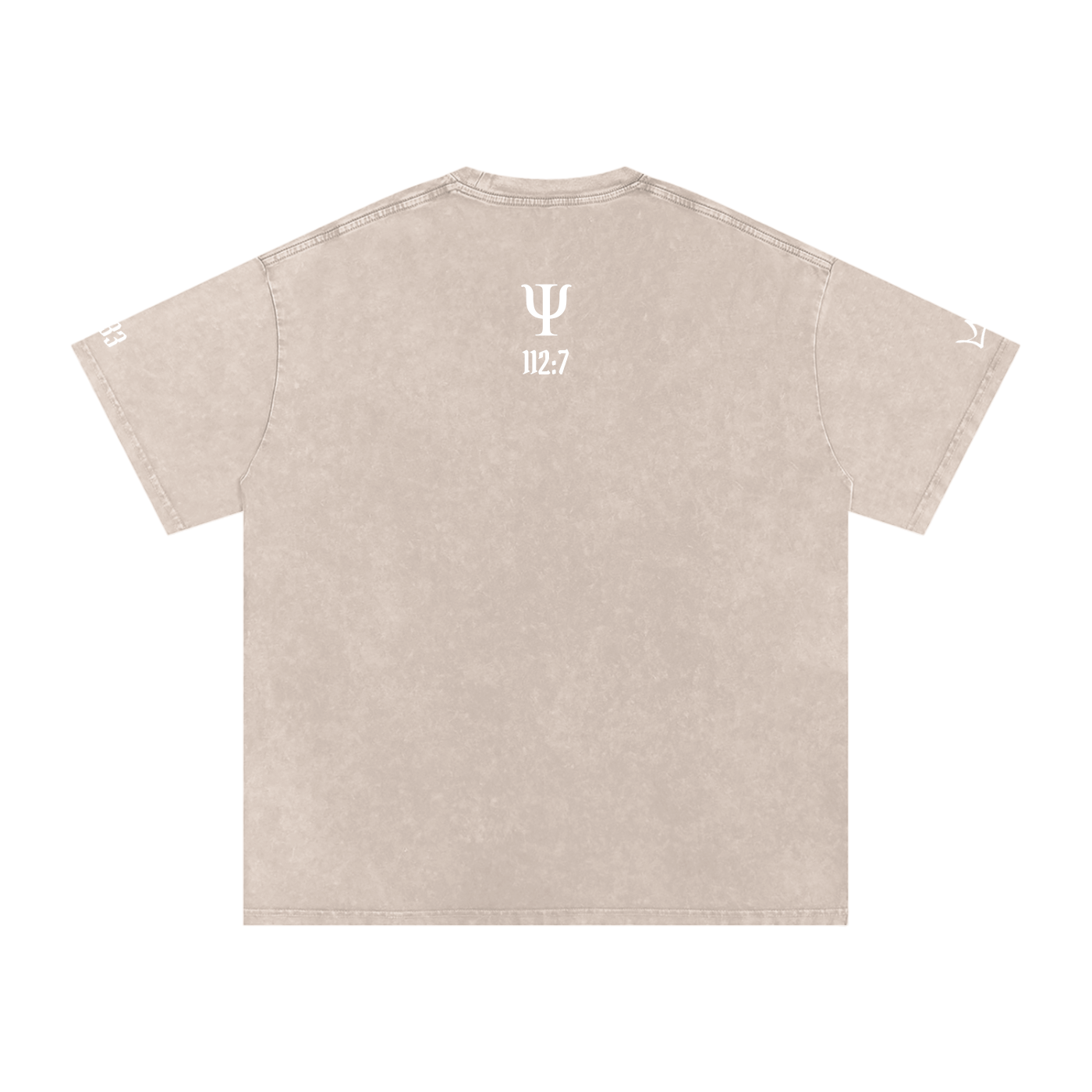 Unfazed Snow Washed Oversized Cotton T-Shirt