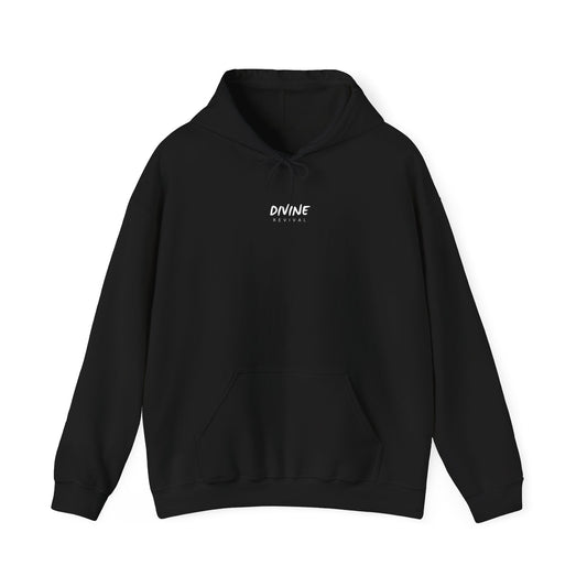 Rejoice in Hope Hoodie