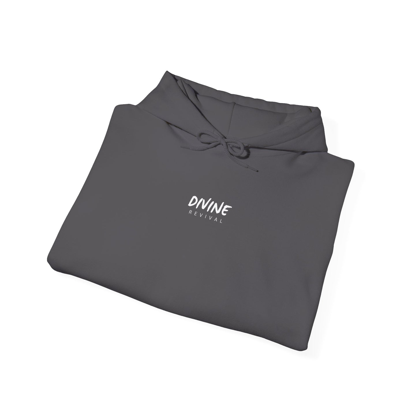 Rejoice in Hope Hoodie