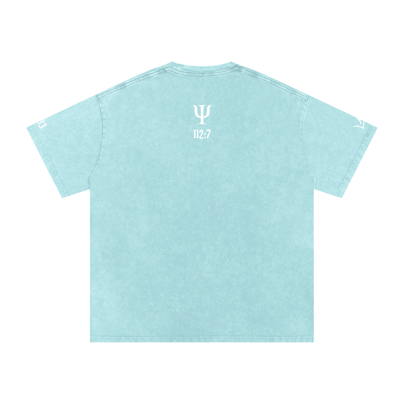 Unfazed Snow Washed Oversized Cotton T-Shirt
