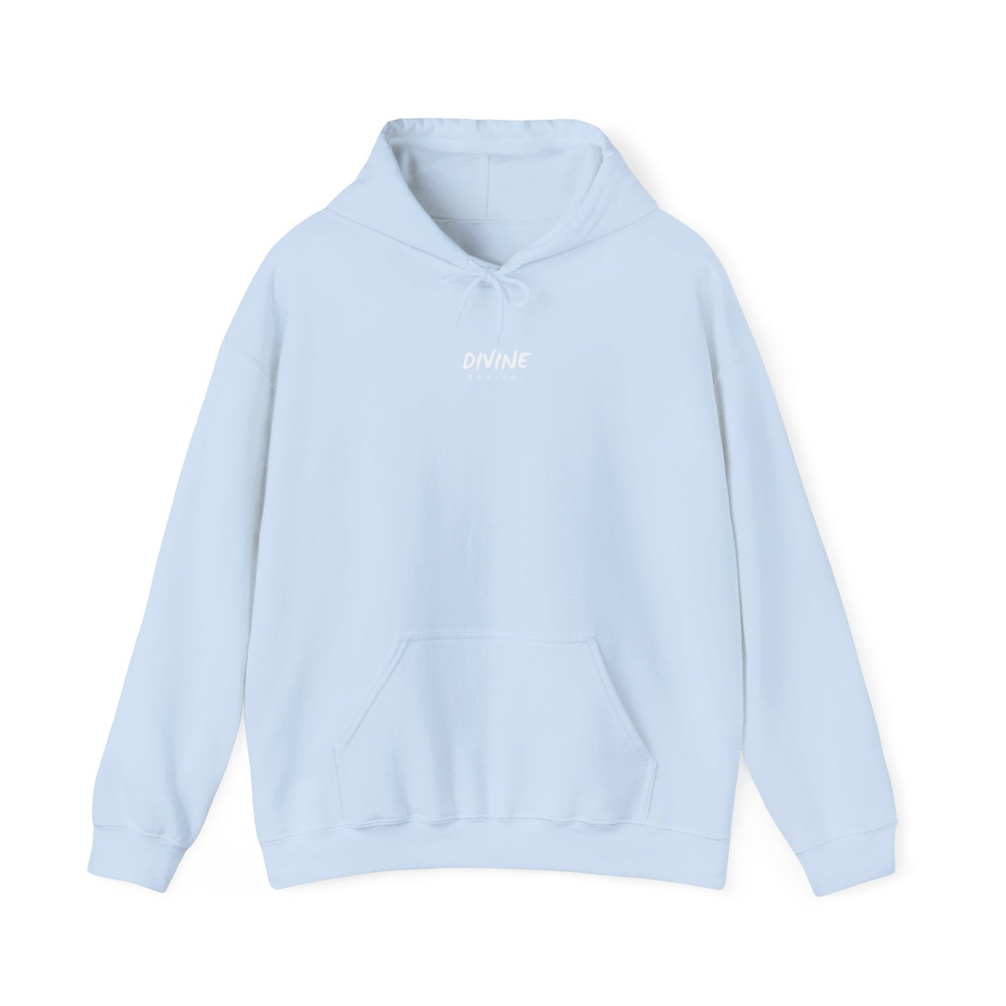 Rejoice in Hope Hoodie