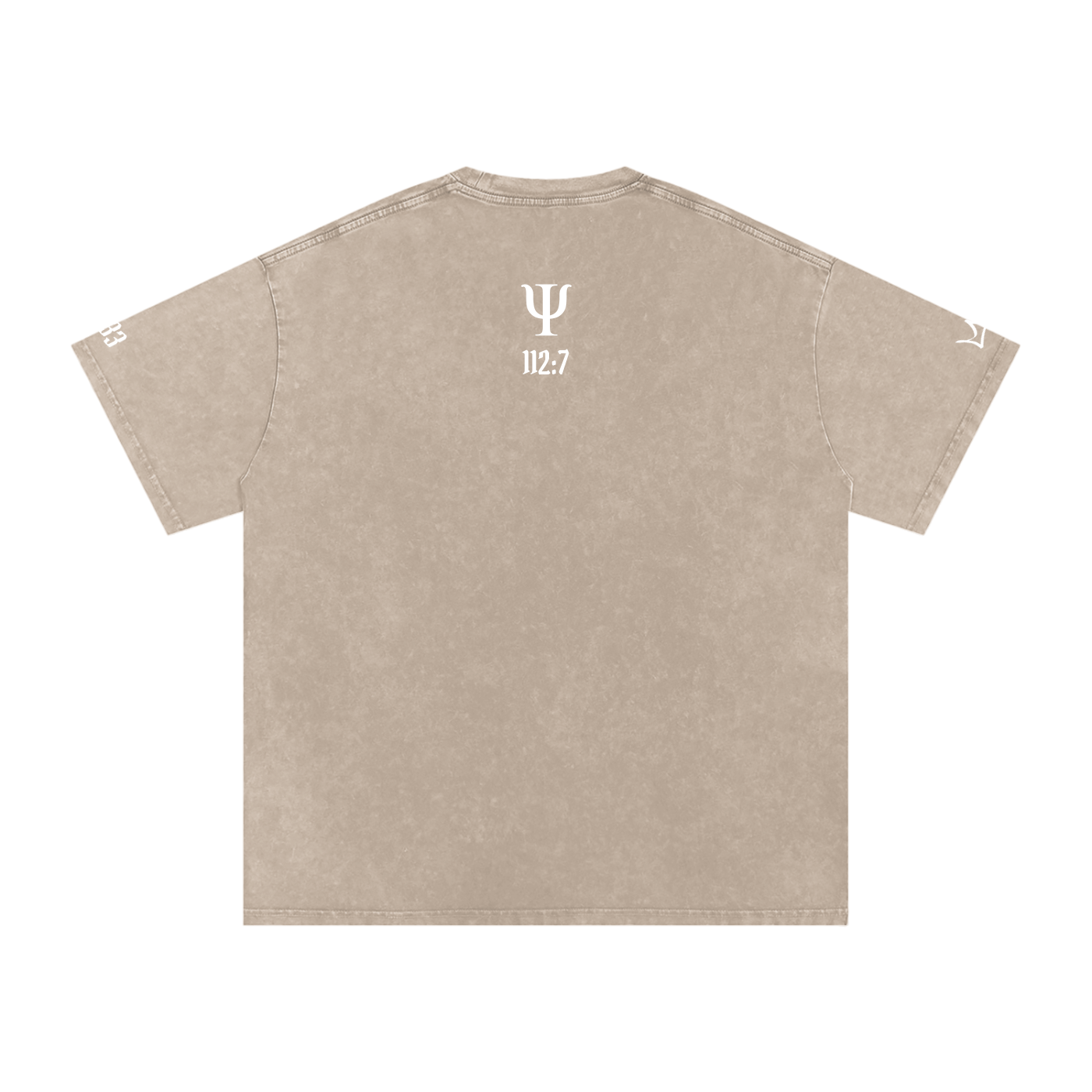 Unfazed Snow Washed Oversized Cotton T-Shirt