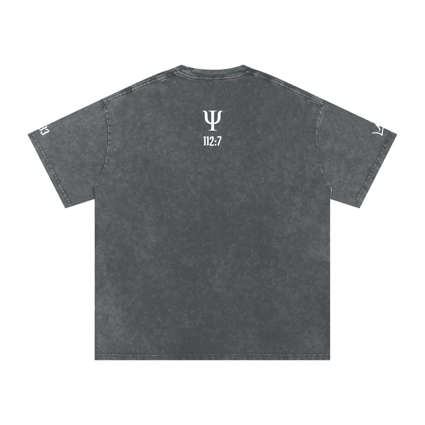 Unfazed Snow Washed Oversized Cotton T-Shirt