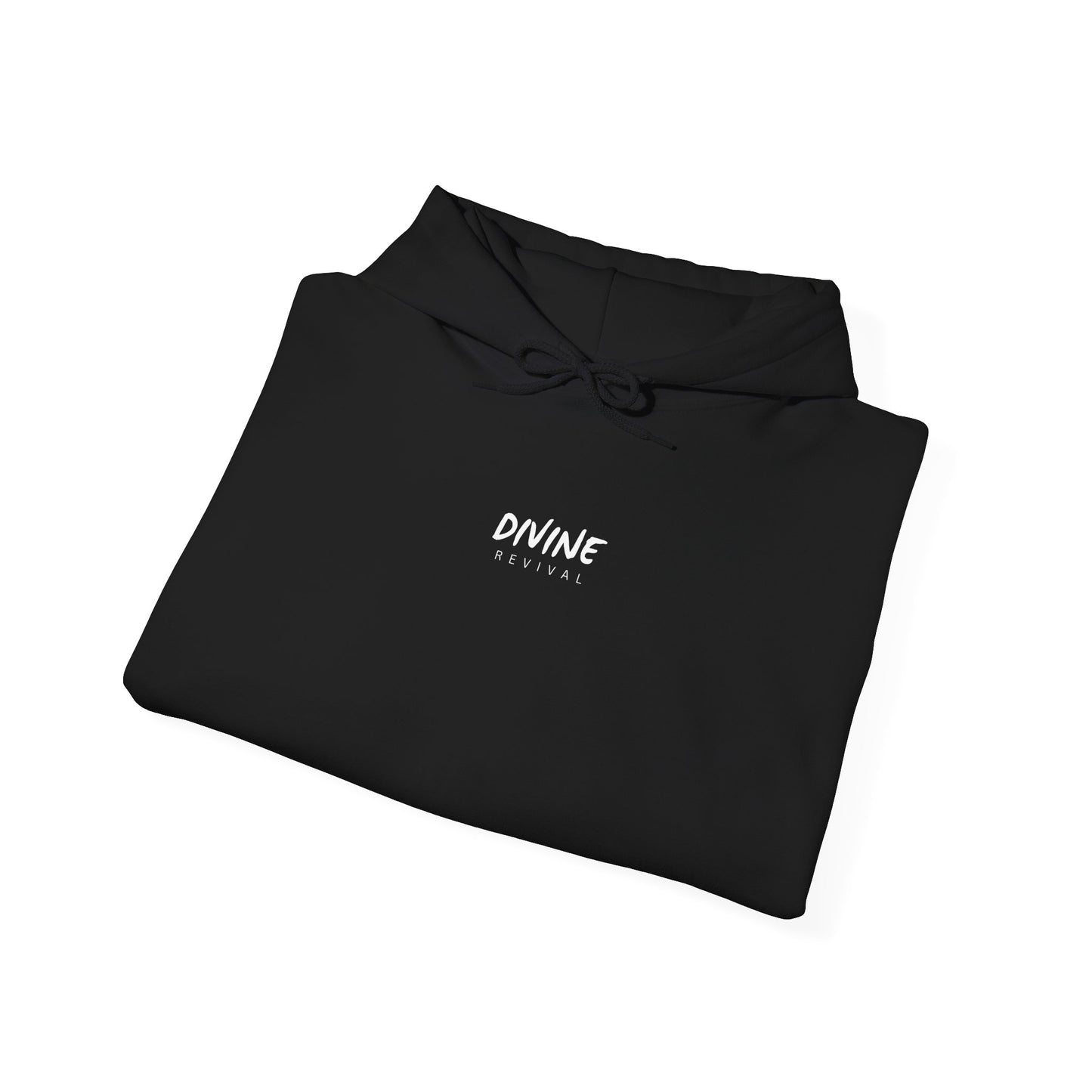 Rejoice in Hope Hoodie