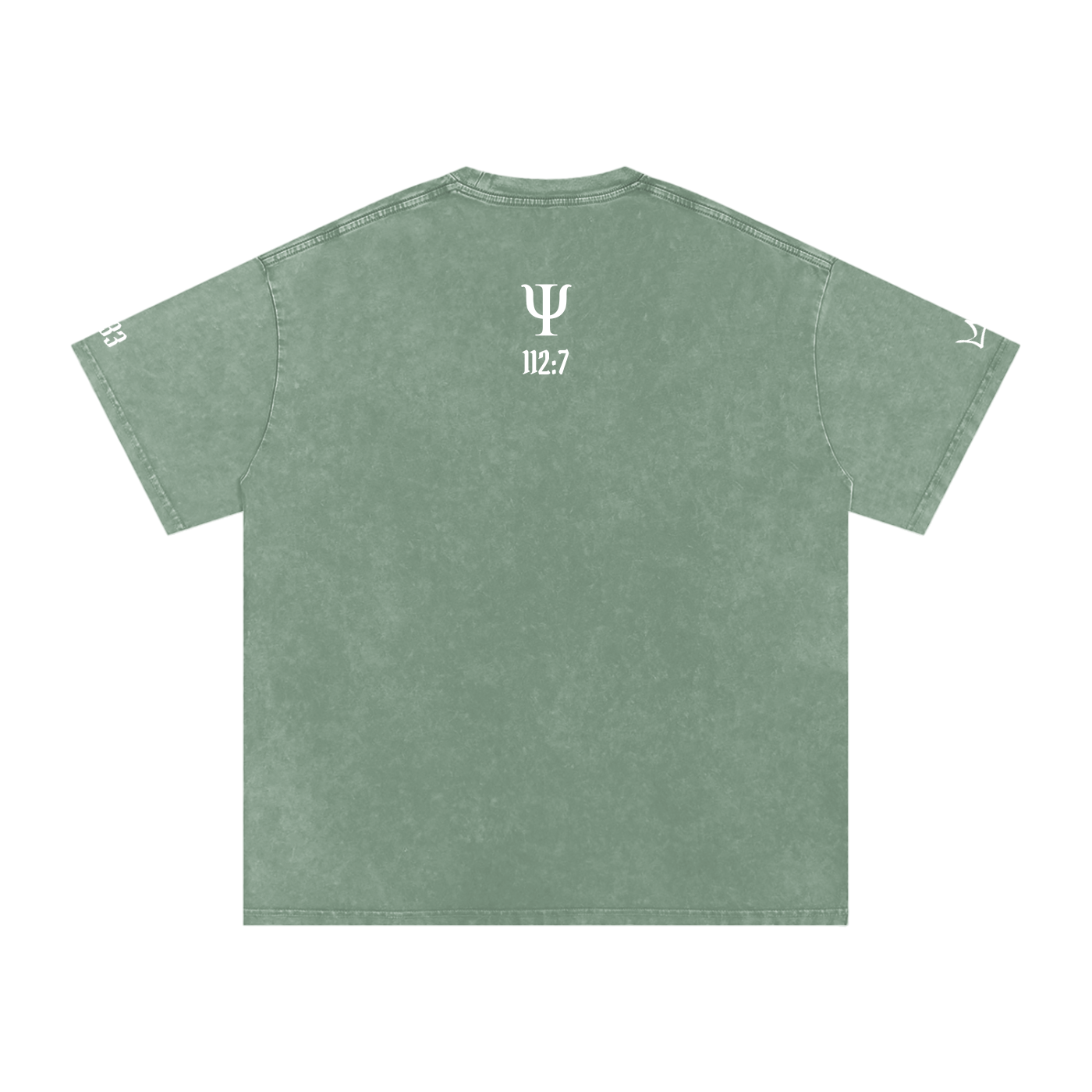 Unfazed Snow Washed Oversized Cotton T-Shirt